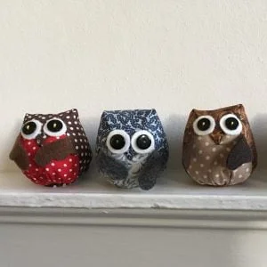 Barney Owl & Friends